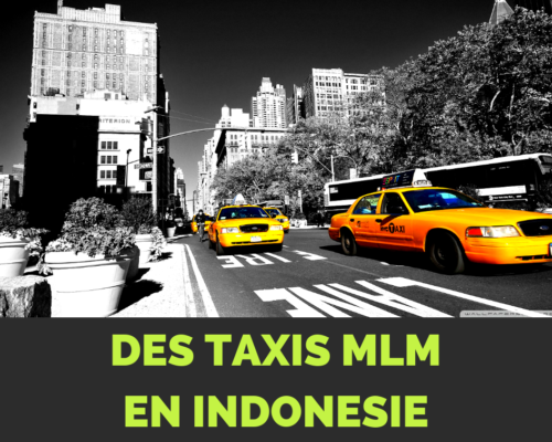 Taxi MLM Indonésie visiter Bali - www.reussirsonmlm.com